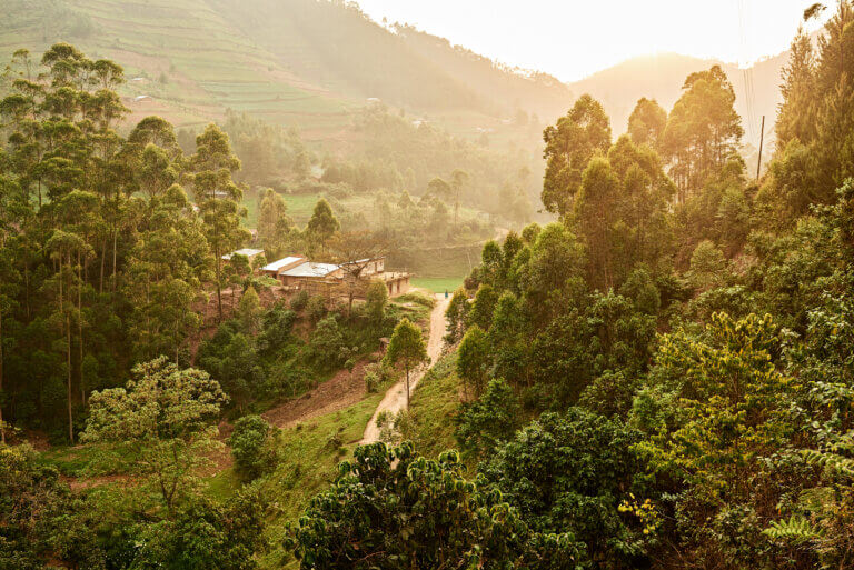 Global Training: Uganda