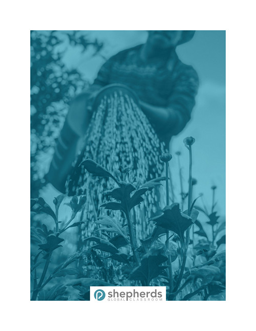 Cultivate Discipleship Lessons course cover image